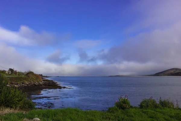 Mooi Strand Met Groen Gras Golven — Stockfoto