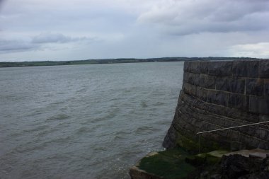 yeşil otlar, ağaçlar ve Noel ağacı taşlarla kaplı sakin sahil