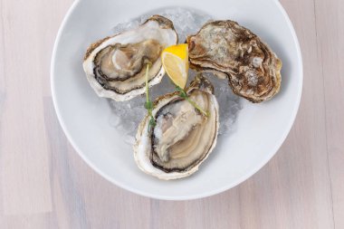 Plaka çiğ istiridye ve buz limon dilimleri ile