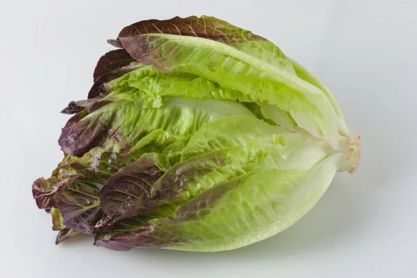 Romain Sla Van Dichtbij Gezien Verse Salade Romain Witte Achtergrond — Stockfoto