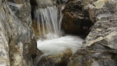 Ormandaki dağ nehri şelalesi
