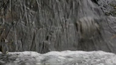 Ormandaki dağ nehri şelalesi. Ses parçalı ortam