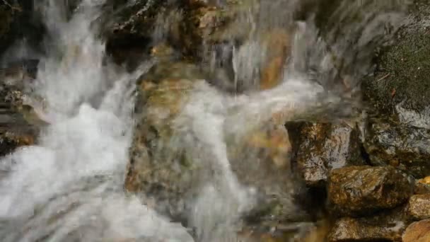 Гірський річковий водоспад в лісі — стокове відео