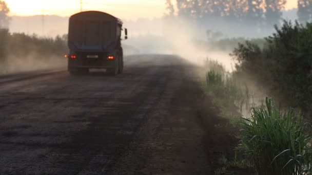 Camion traversant forêt brumeuse — Video