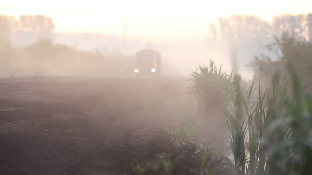Грузовик пересекает туманный лес — стоковое видео