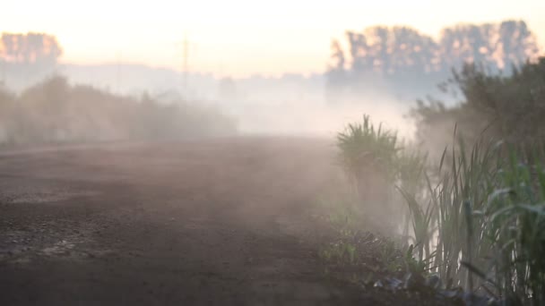 Mist verkenningen uit op de weg — Stockvideo