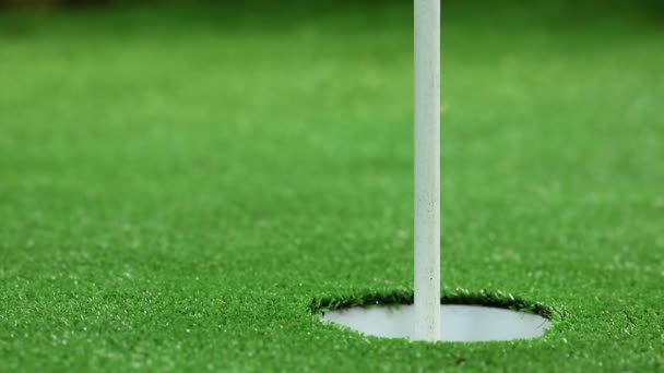 Un perfetto golf putt. Tre palle arancioni — Video Stock