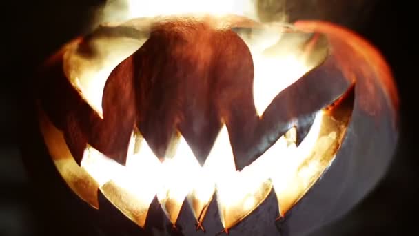 Zucca di Halloween. Cintura — Video Stock