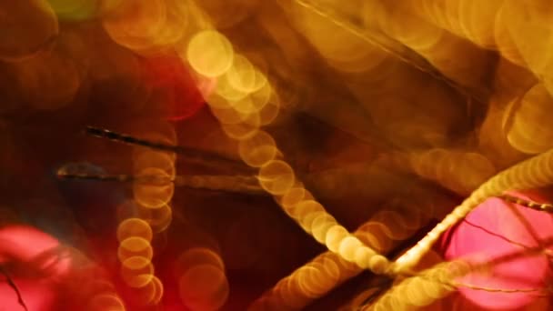 Streszczenie niewyraźne Christmas Lights tło Bokeh — Wideo stockowe