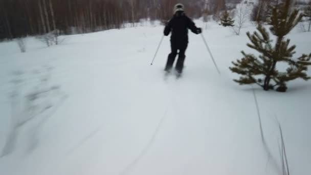 Σκιέρ βρίσκεται σε ειδυλλιακό τέλειος καιρός χειμερινή ημέρα για αναψυχή, κάνοντας σκι κάτω από το φρέσκο καλλωπισμένο πίστα — Αρχείο Βίντεο