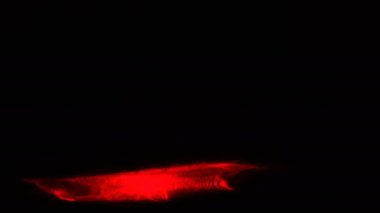 Kırmızı ışık soyut animasyon arka plan çizgiler. Sorunsuz döngü