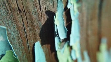 Boya soyan eski ahşap zemin