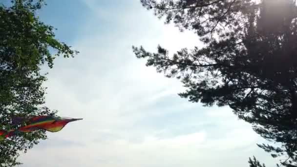 Regenbogendrachen fliegt in blauem Himmel — Stockvideo