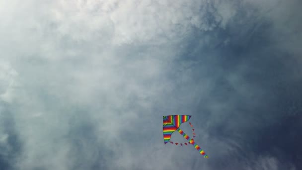 Aquilone arcobaleno che vola nel cielo blu — Video Stock