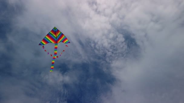 Regnbåge drake flyger i blå himmel — Stockvideo
