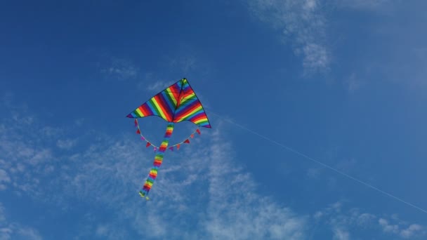 Regnbåge drake flyger i blå himmel — Stockvideo