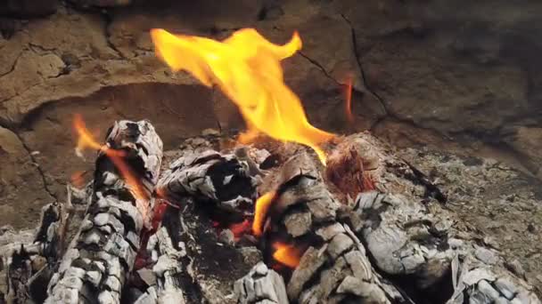 Vista cercana a carbón brillante y llama en la parrilla de barbacoa — Vídeo de stock