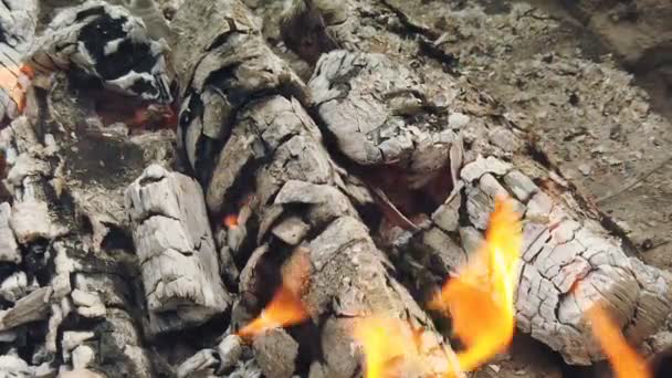 Vista da vicino a carbone incandescente e fiamma nella griglia del barbecue — Video Stock