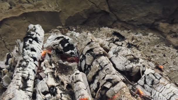 Vista da vicino a carbone incandescente e fiamma nella griglia del barbecue — Video Stock