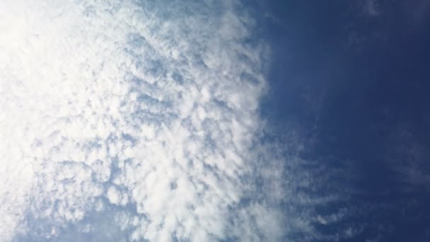 Cometa arco iris volando en el cielo azul — Vídeos de Stock