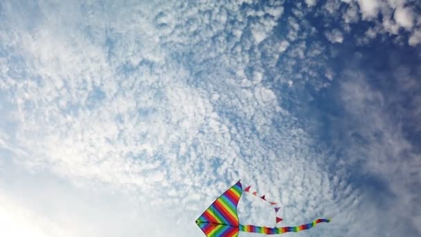Regenboog vlieger vliegen in blauwe lucht — Stockvideo