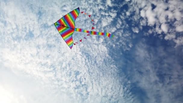 Веселковий повітряний змій летить у блакитному небі — стокове відео