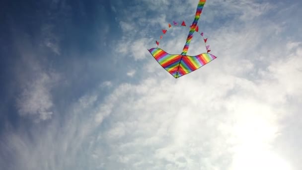 彩虹风筝在蓝天中飞翔 — 图库视频影像