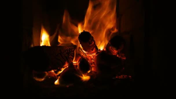 Fuego ardiendo en la chimenea. Chimenea llena de leña y fuego — Vídeo de stock