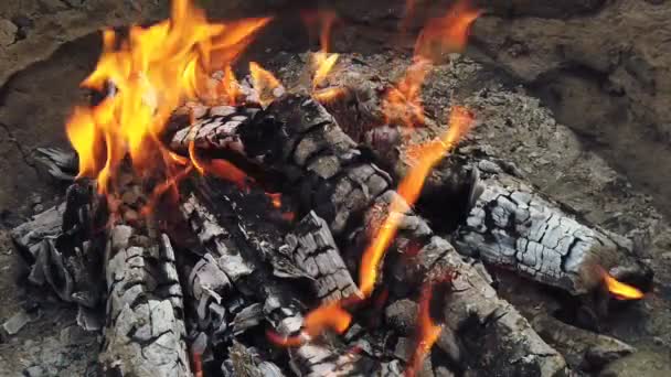 Close View bij gloeiende houtskool en vlam in barbecue grill — Stockvideo