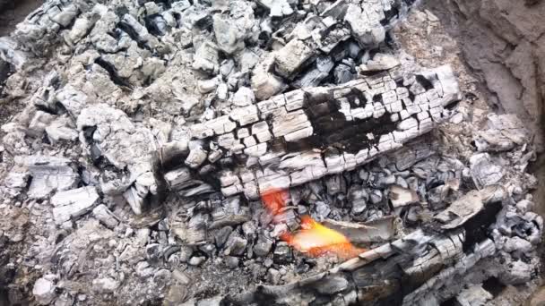 Κοντινή θέα σε λαμπερό κάρβουνο και φλόγα στο Μπάρμπεκιου Γκριλ — Αρχείο Βίντεο