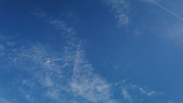 Вид сзади на воздушного змея, летящего высоко в голубом небе — стоковое видео