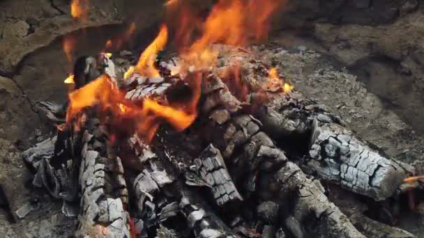 Nära utsikt på glödande kol och flamma i grillgrill — Stockvideo