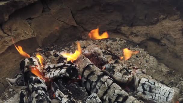 Vista cercana a carbón brillante y llama en la parrilla de barbacoa — Vídeos de Stock