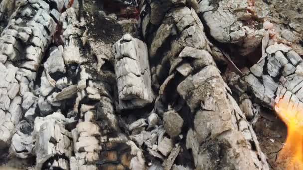 Близкий вид на светящийся уголь и пламя в гриле барбекю — стоковое видео