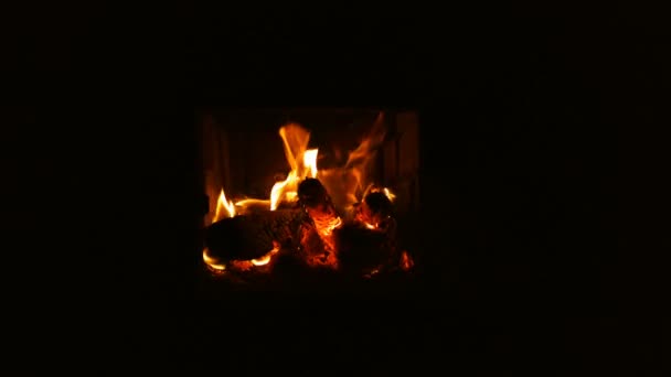 Eld bränning i öppen spis. Eldstad full av ved och eld — Stockvideo