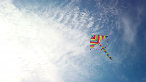 Aquilone arcobaleno che vola nel cielo blu — Video Stock