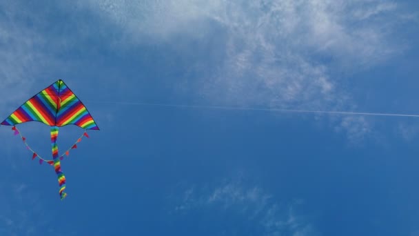 Regenbogendrachen fliegt in blauem Himmel — Stockvideo