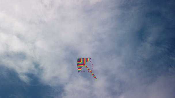 Regnbåge drake flyger i blå himmel — Stockvideo