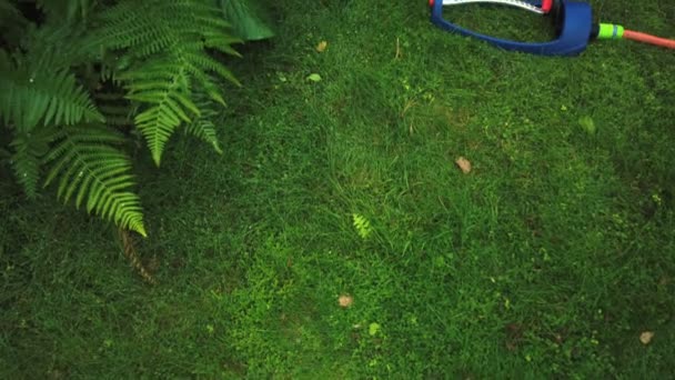 Rasensprengeranlage im Garten im Gras. Streuen Sie Wasser auf das grüne Gras im Garten auf einem Hintergrund von Bäumen, wenn die Sonne scheint — Stockvideo