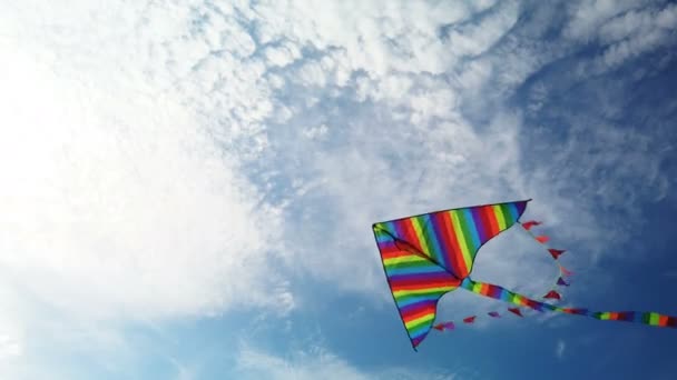 Pipa arco-íris voando no céu azul — Vídeo de Stock