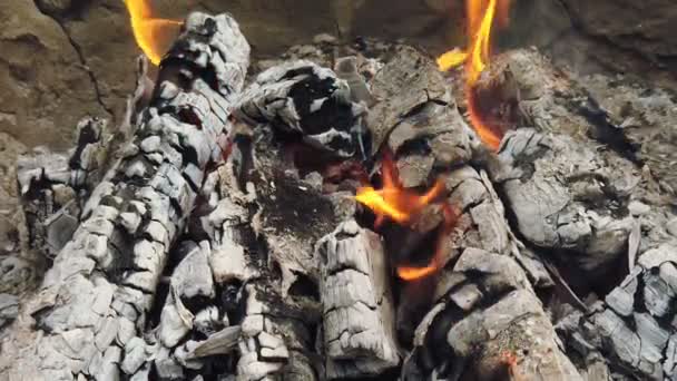 Vista da vicino a carbone incandescente e fiamma nella griglia del barbecue — Video Stock