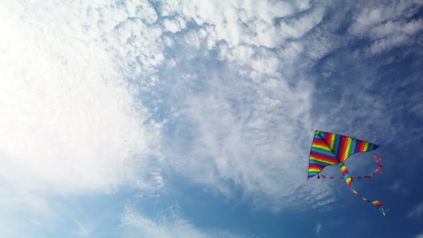 Regenboog vlieger vliegen in blauwe lucht — Stockvideo