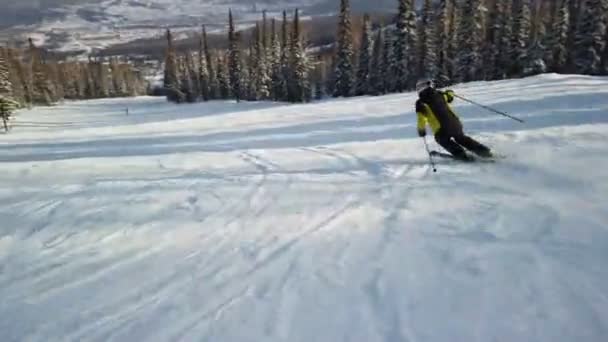 Joven esquiador recreativo adulto disfruta de un clima idílico perfecto en invierno frío. Esquí solo en pista de esquí perfectamente arreglada en la estación de esquí — Vídeos de Stock