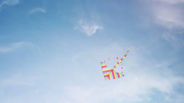 Regenbogendrachen fliegt in blauem Himmel — Stockvideo