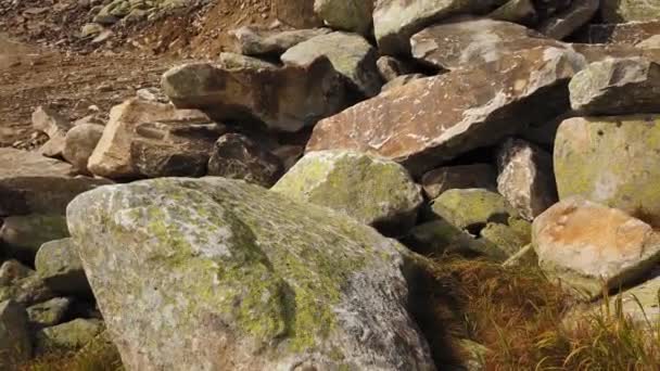 Steinbergtallandschaft. große Steine in den Bergen — Stockvideo