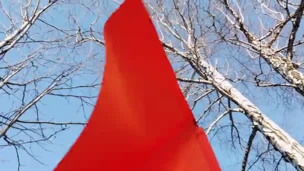 In Zeitlupe weht die rote Flagge im Wind. Rote Flagge auf einem Hintergrund von Himmel und Bäumen — Stockvideo