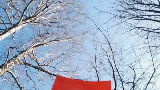 Langzame rode vlag wapperend in de wind. Rode vlag op een achtergrond van lucht en bomen — Stockvideo