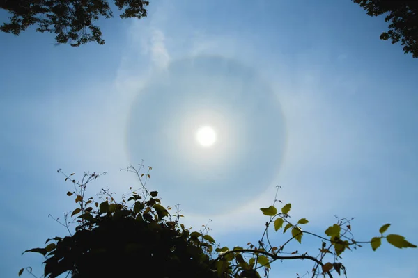 Atmosferico cerchio effetto ottico intorno al sole nelle calde giornate estive. Fenomeno aureola atmosferico attorno al sole — Foto Stock
