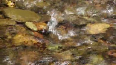 Dağ nehri akıntısı dalgası. Çevredeki ses odasını rahatlatmak için arka plan. Su akışının rahatlatıcı sesine sahip doğa konsepti