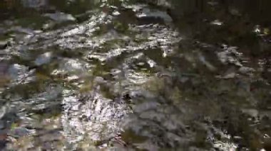 Dağ nehri akıntısı dalgası. Çevredeki ses odasını rahatlatmak için arka plan. Su akışının rahatlatıcı sesine sahip doğa konsepti